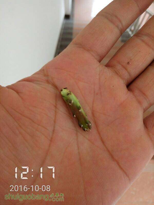 122512jimio7ii383oi87c.jpg