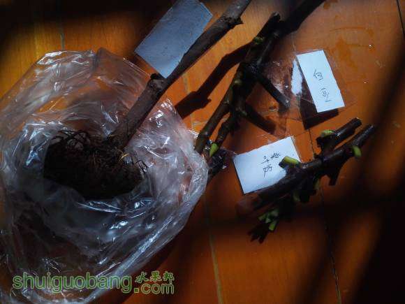 IMG_20161008_131541[1].jpg