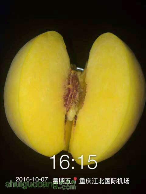062758sp4ecbxywebeb9vh.jpg