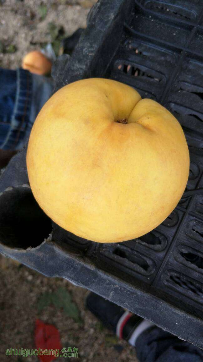 203328nkwttkwz07hcxkcw.jpg