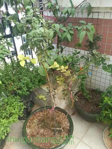 20160825_145113.jpg