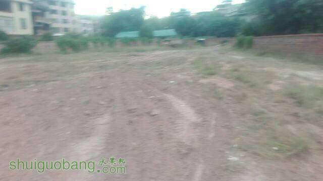 143724hmtdm77ws7hhheoe.jpg