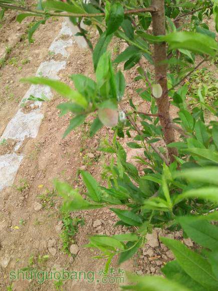 IMG20160502151006.jpg