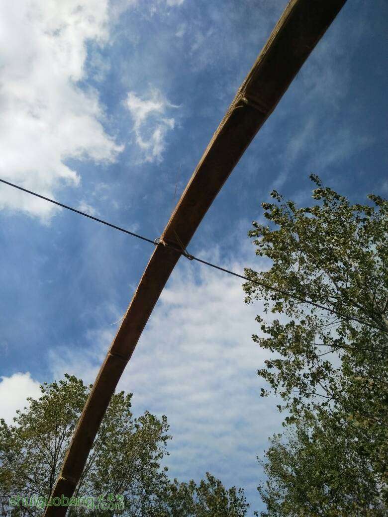 001518pioqgl9mqbyy0iuq.jpg