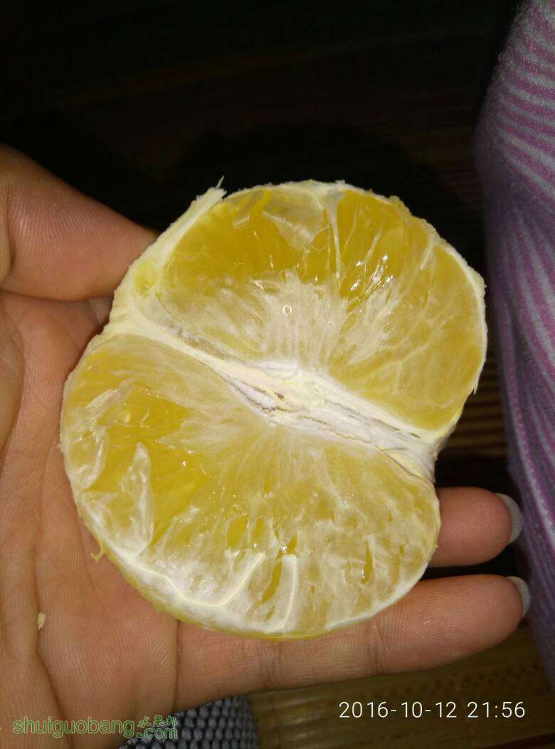 144412dmgqk1glm13mqmmz.jpg