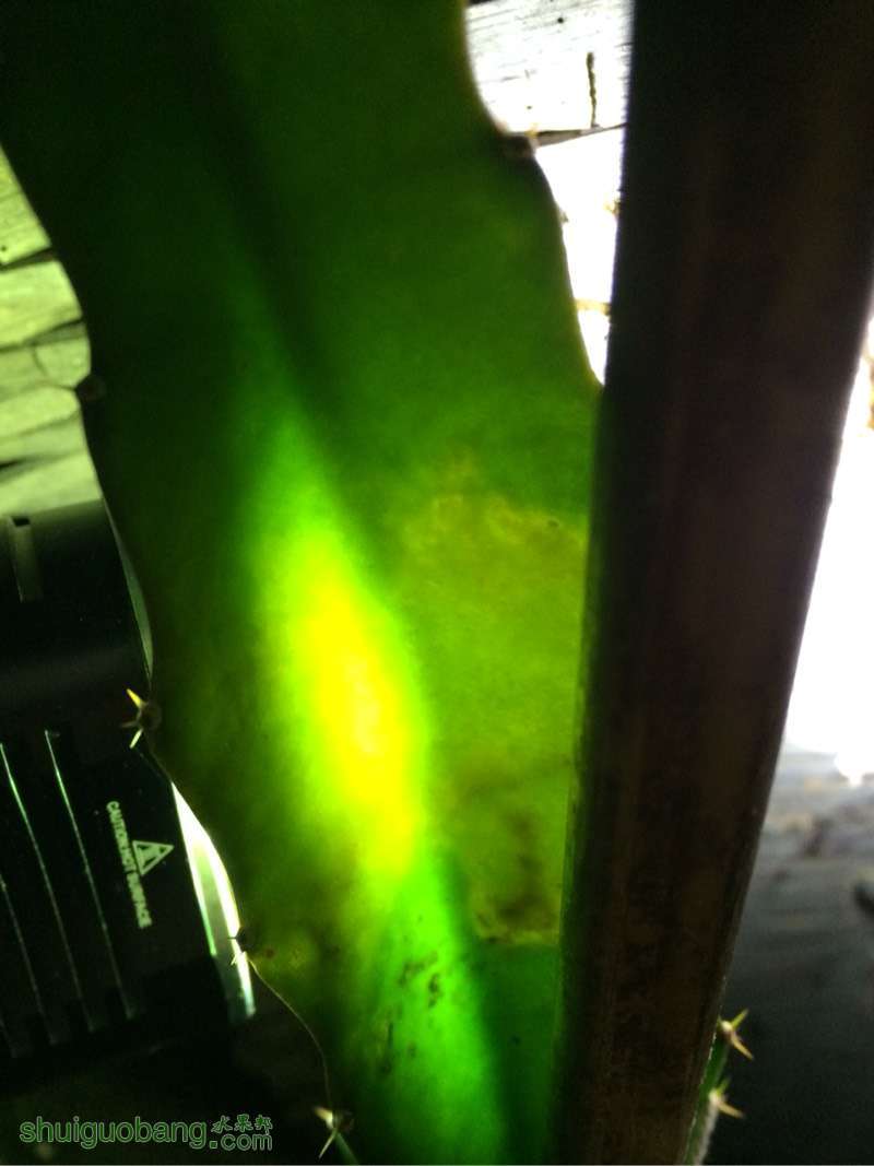 203931qvt4xtr11011r0wv.jpg
