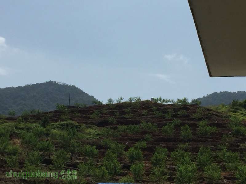 221612j02m05004wk3ga2n.jpg