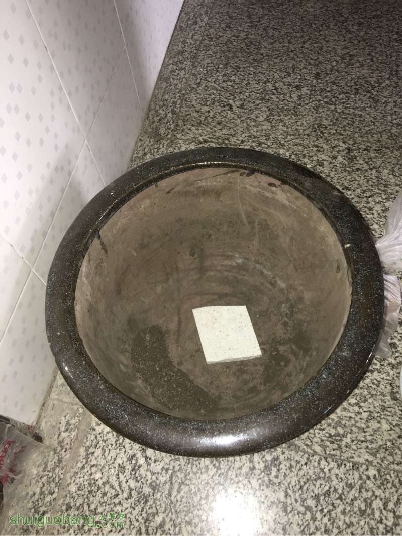 191853j4vo7ocl3k3xh3x7.jpg