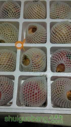 IMAG0599.jpg