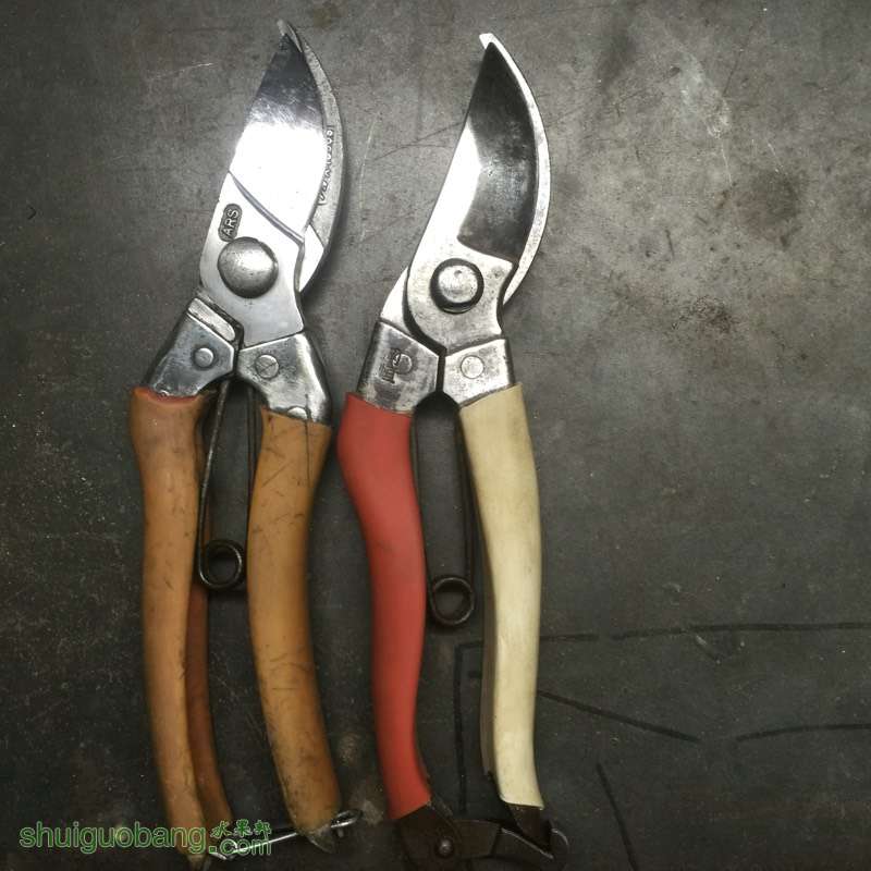 224433y4erecm6hdchzd7t.jpg