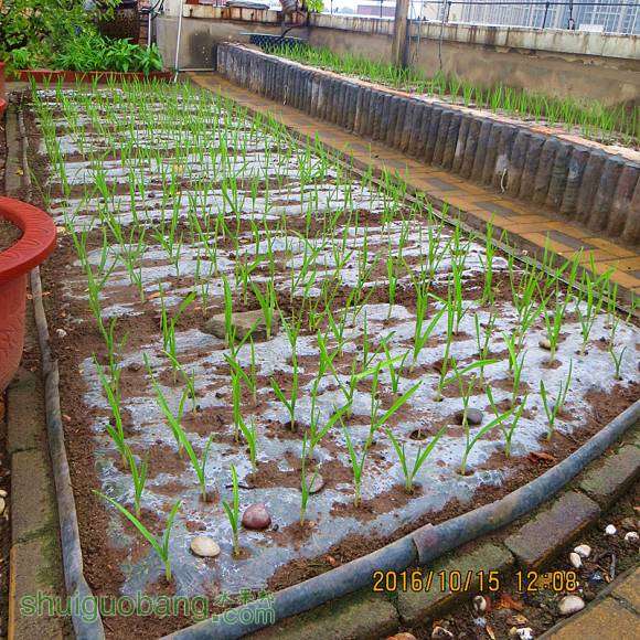 2016.9.15.ֲ 008.jpg