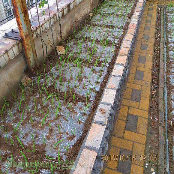 2016.9.15.ֲ 002.jpg
