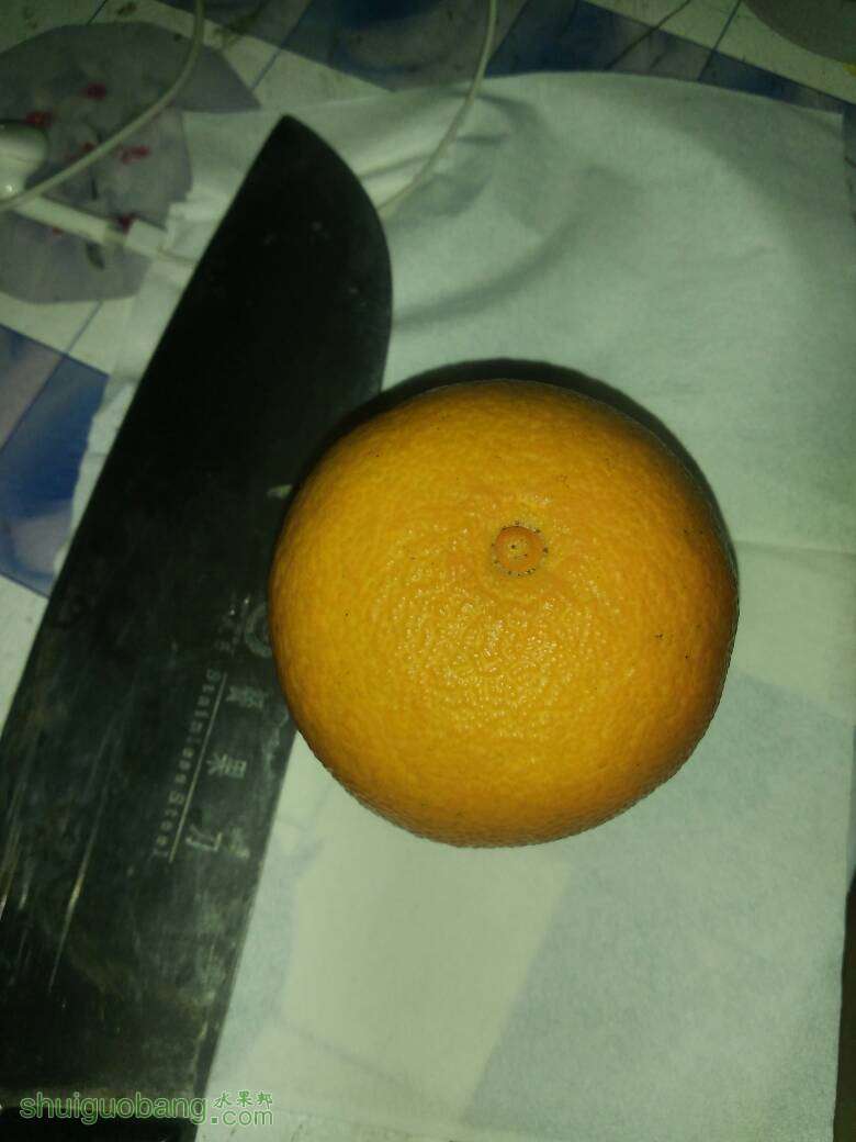001320qpnijbjryjx2nex1.jpg