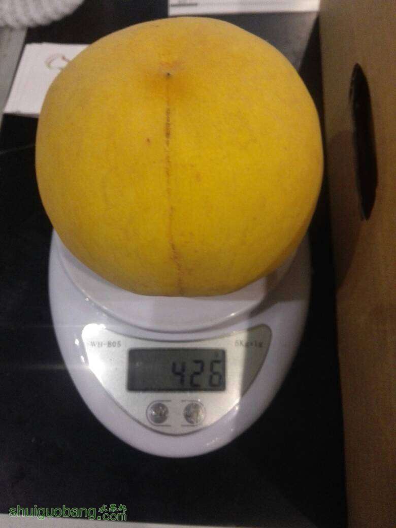 043336uznzllk9nrwyro97.jpg