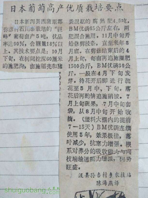 160620tjkjcfcdkstvqkj6.jpg