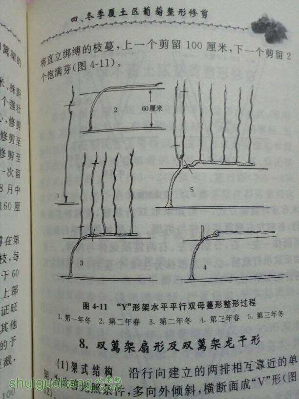 224850copks2pk9yypfkhf.jpg