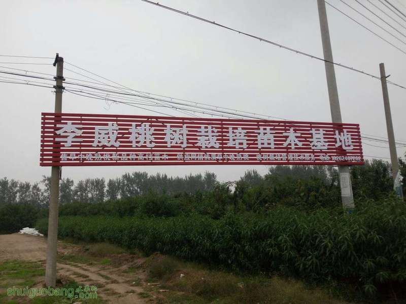 082323lvkcvk1fihm1q13q.jpg