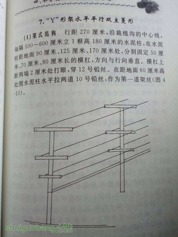 113651e3w9ghfzhueloeem.jpg