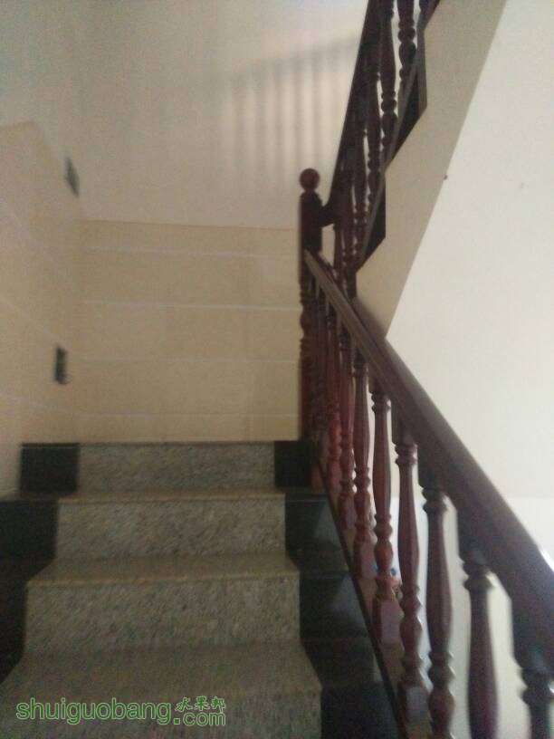 233654laai55zwkia5kqgd.jpg