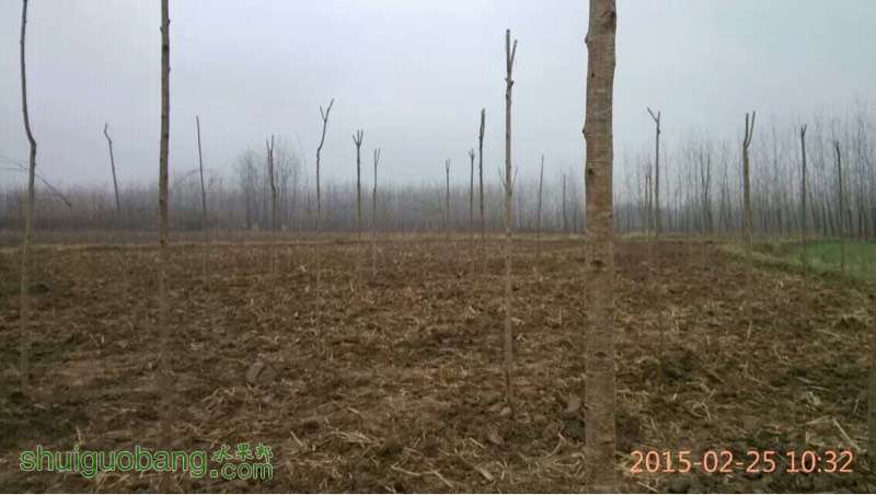 141220qgamo3036yi688u8.jpg
