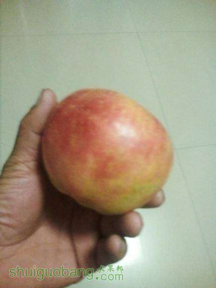 �ҵ��з�ƻ��