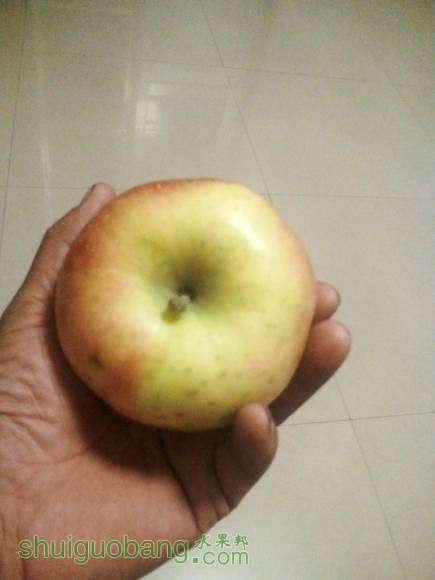 �ҵ��з�ƻ��