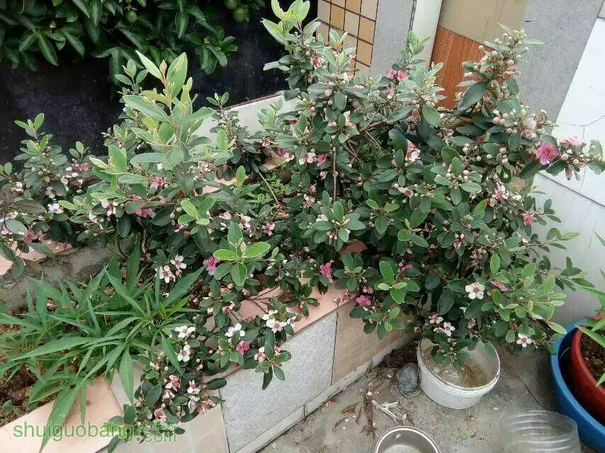 232723uuuiuop5ihz55mqk.jpg