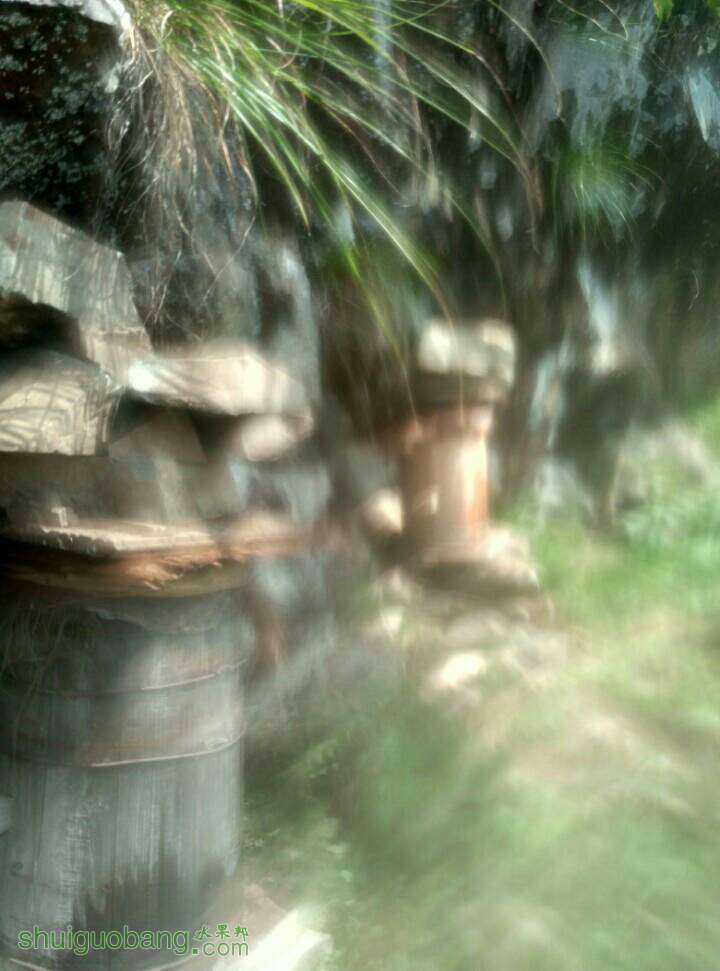 003859gn6wwnnkw9xp2dnv.jpg