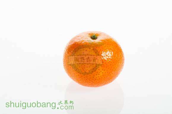 7-35048.jpg