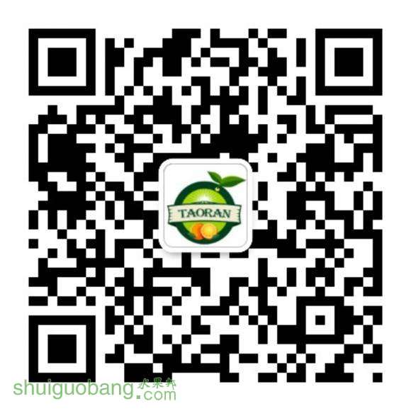 509952891494857258.jpg