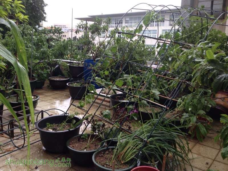 154547zn5sq4nnn20rubla.jpg