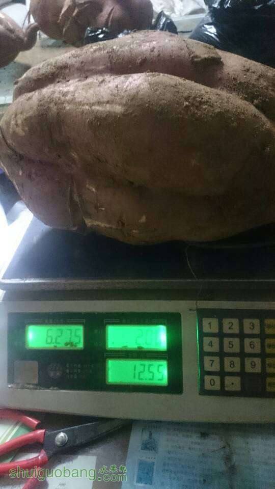 182846k4aajjj0nasfjjwj.JPG