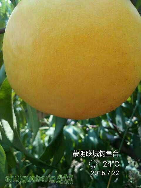 182941cvbub70wp9u07m42.jpg