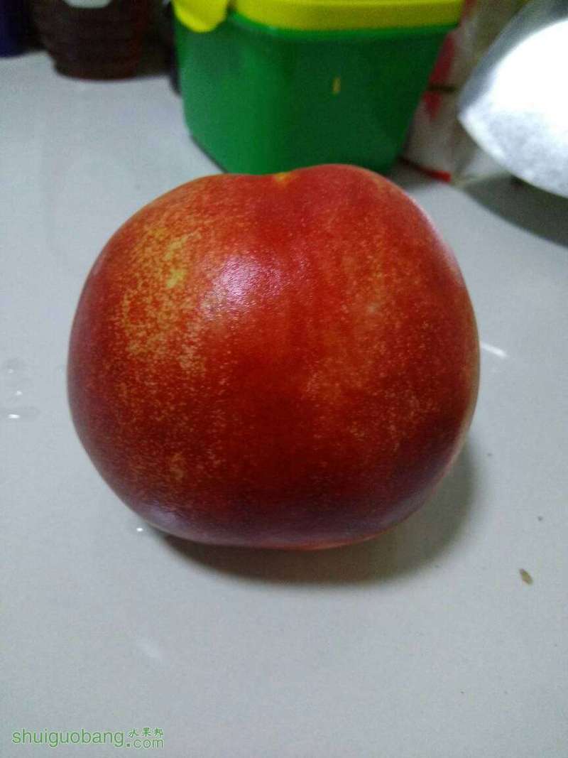 100618pi7072tpevtekkap.jpg