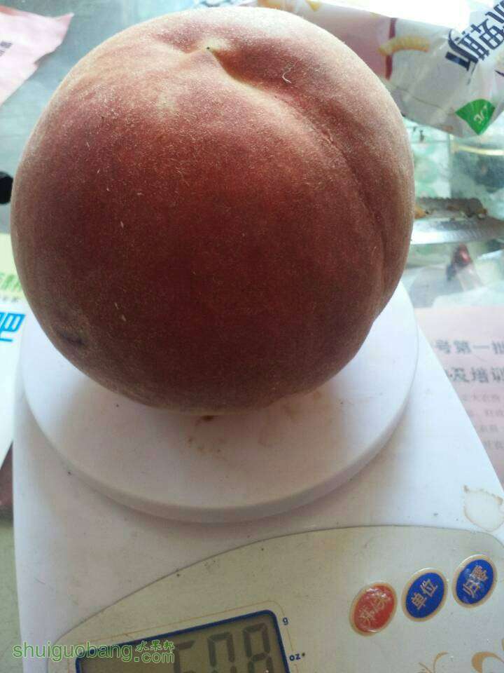 114412kkl24vlld3tjydjv.jpg