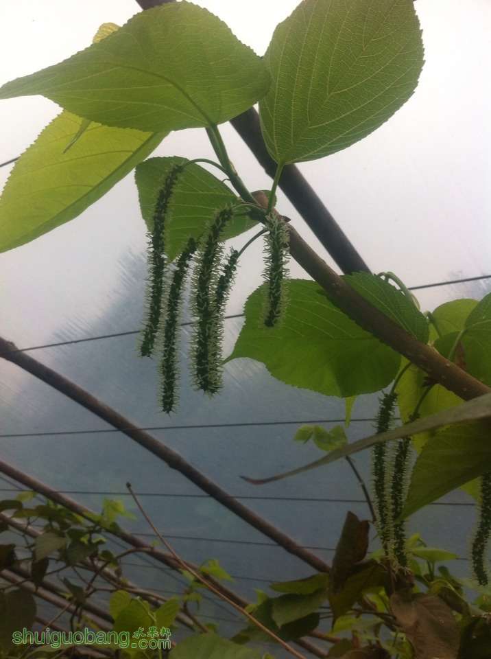 183015kbngkk0jn4ftn3oc.jpg