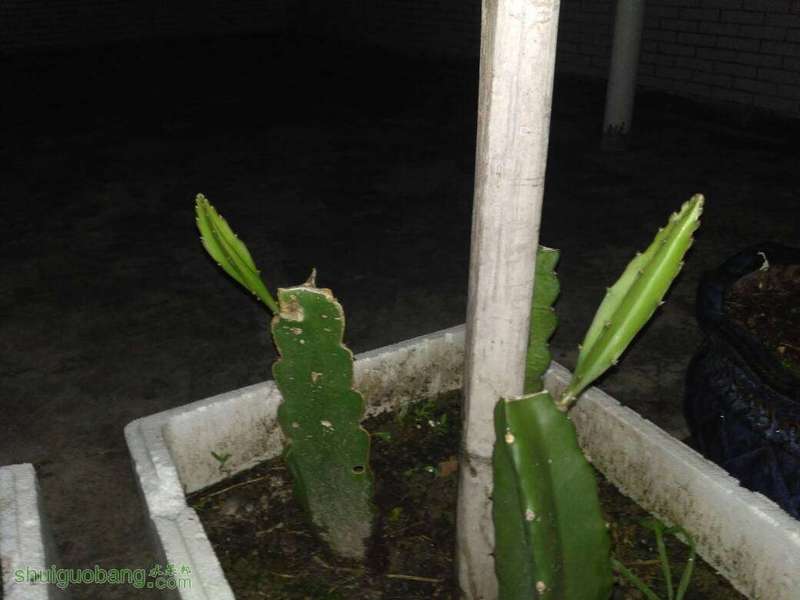 213729xnpplpydgpcd0qdo.jpg