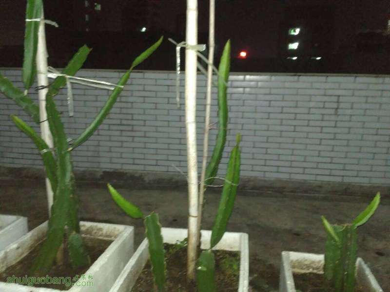 213730mtrm75225wfp04fv.jpg