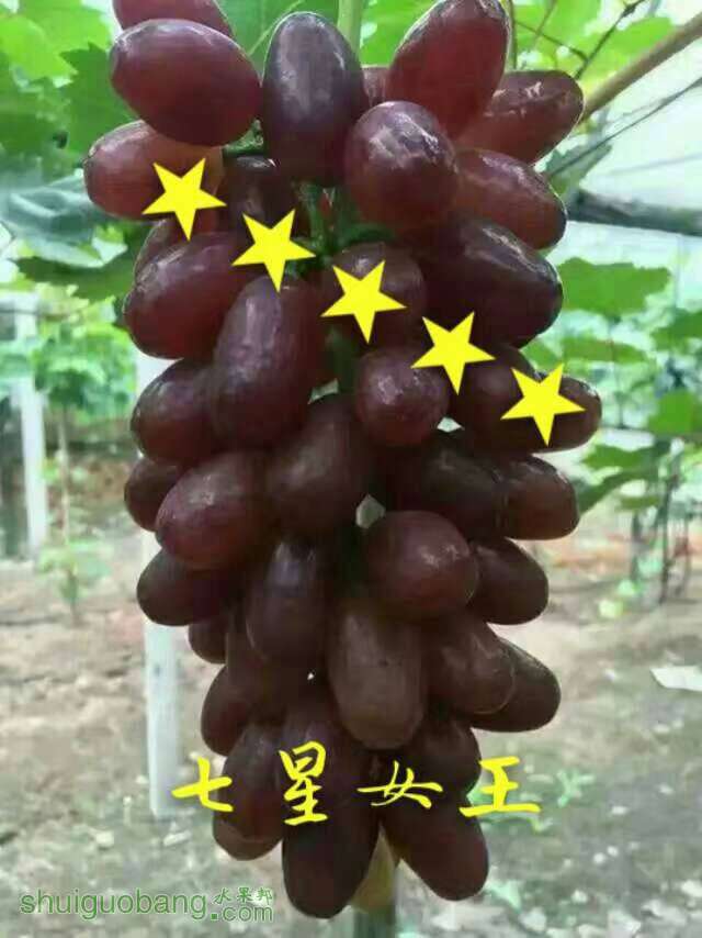 074551ny9yko99w4o07m9h.jpg