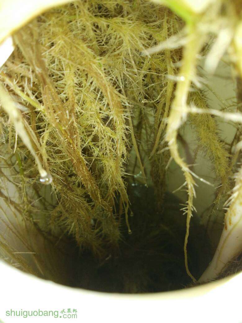 151238m1rkxbukwqdrzr2t.jpg