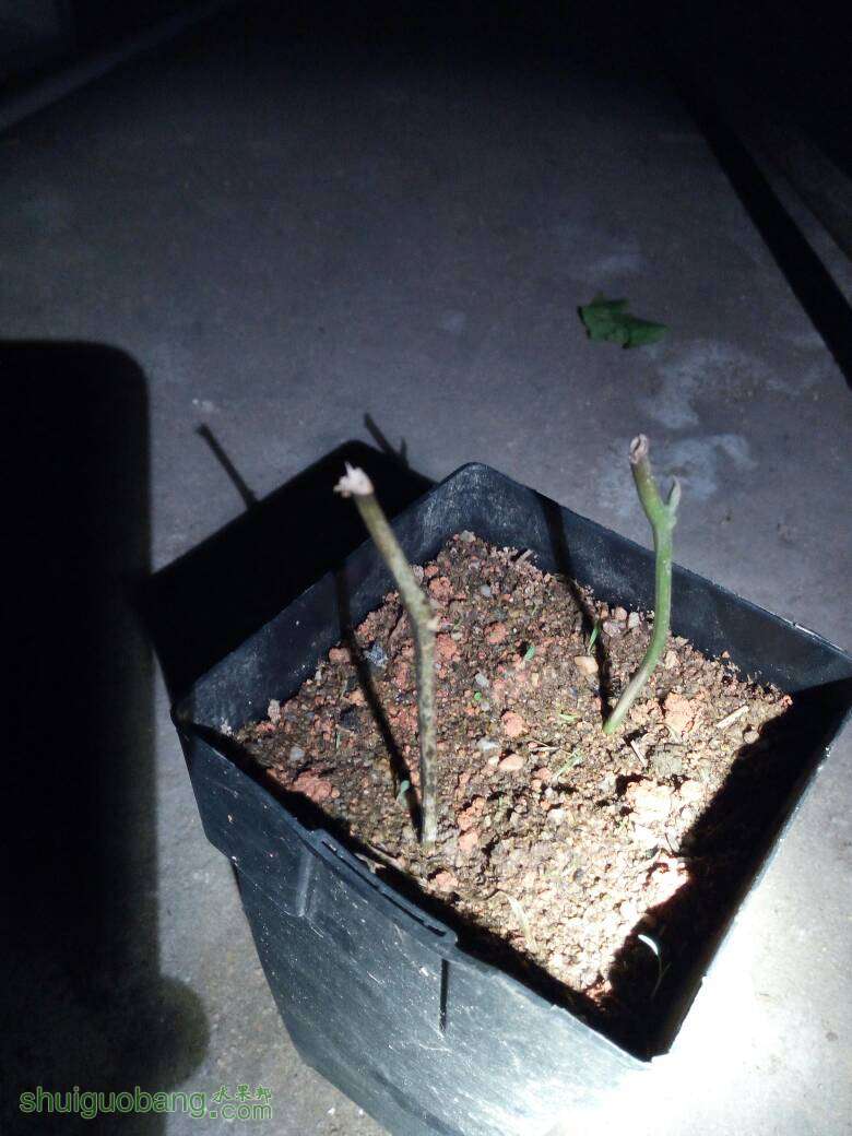 200714sqh68zg1l1j07qlv.jpg