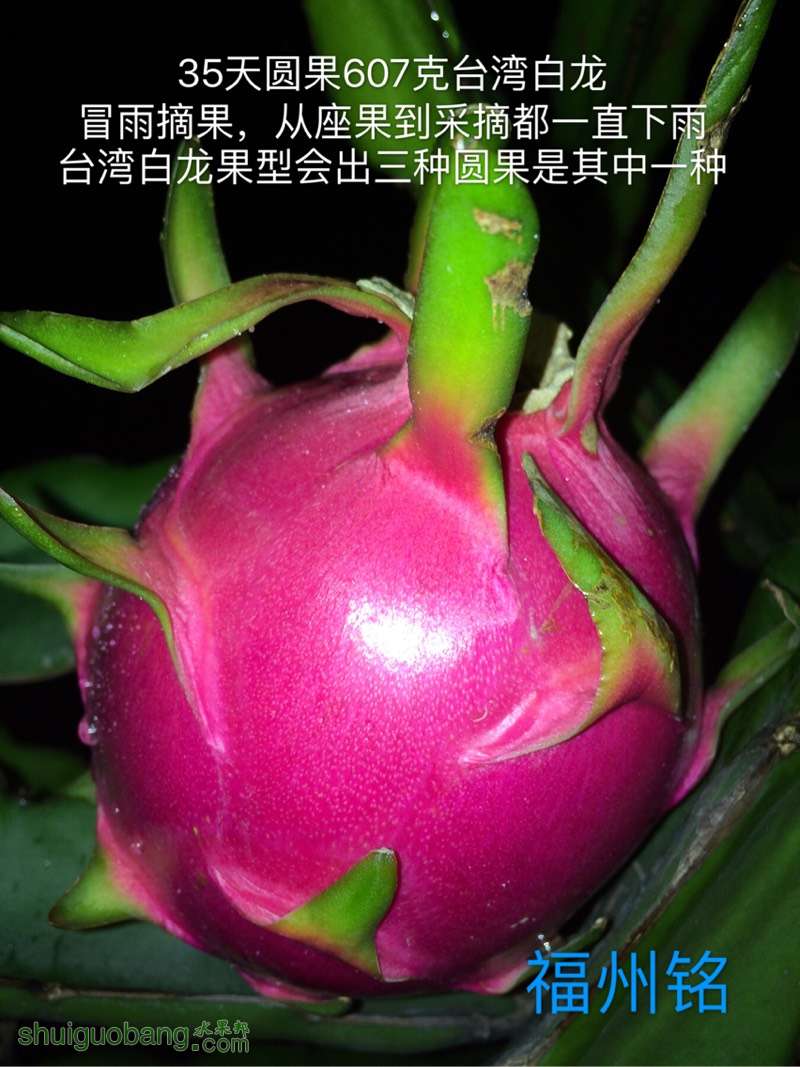 214746itjfdu6uguxc4dzg.jpg