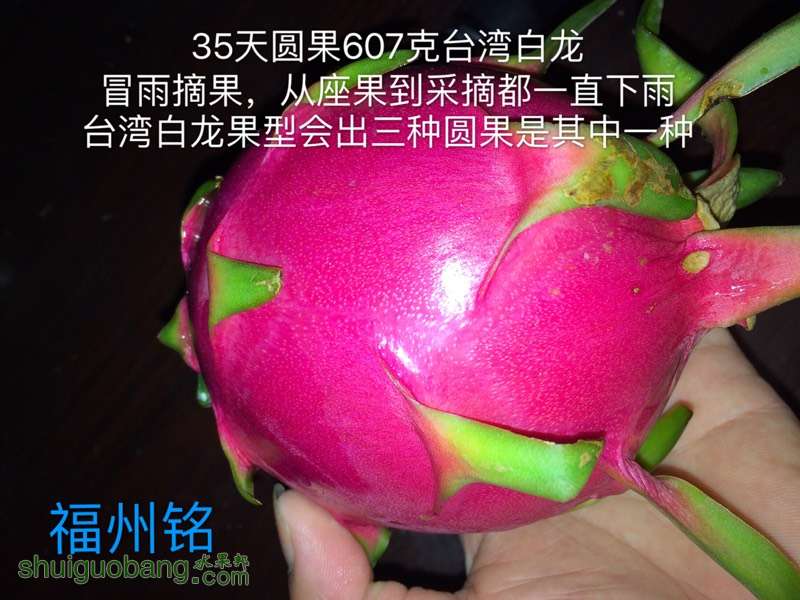 214747cowwuuveyvdlhe1w.jpg