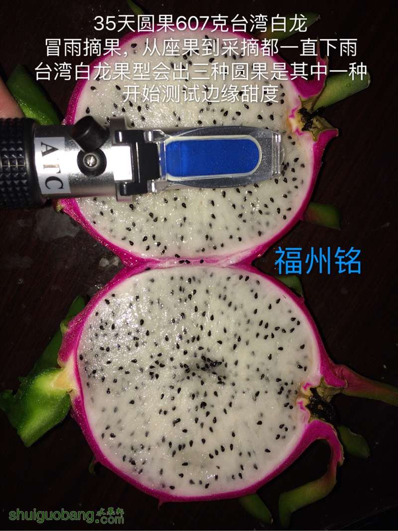 214747g6lnjb2qjxzqz17k.jpg