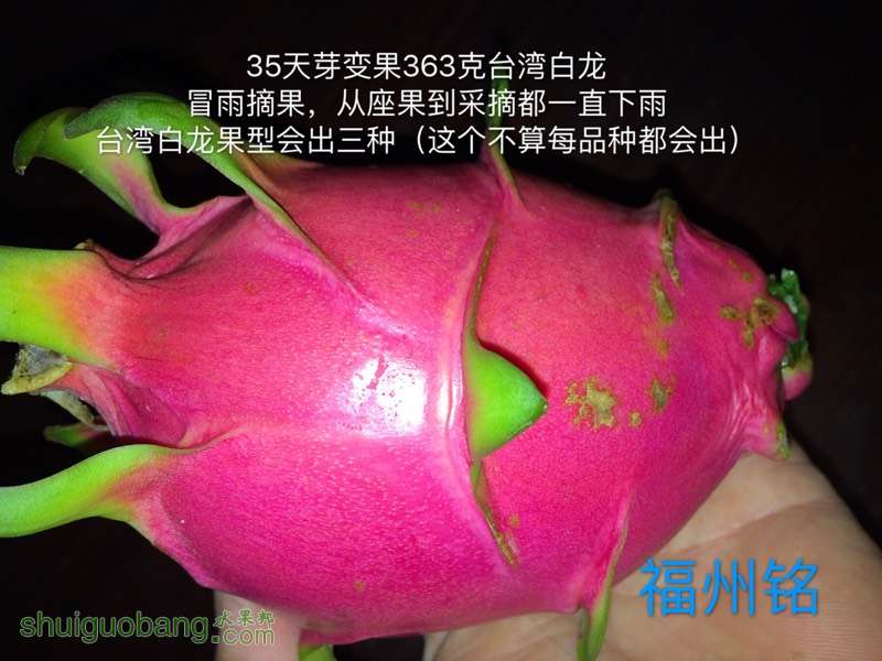 215409qds7q0b06v6fbnqn.jpg