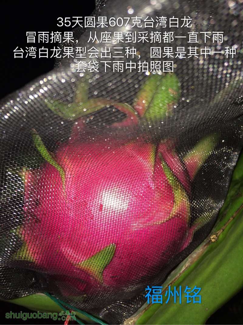 215411j7v6lrr9v6rjvk4l.jpg