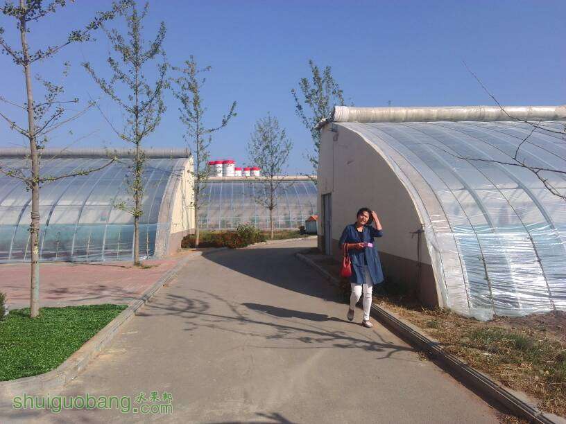 094913nir5enifr3i07aih.jpg