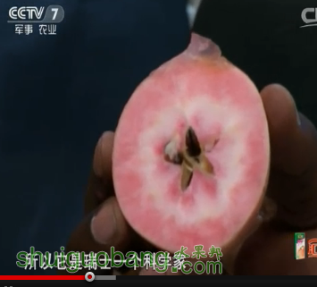 QQͼƬ20151130171942.png