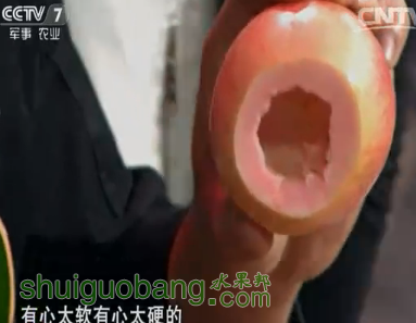 QQͼƬ20151130172421.png