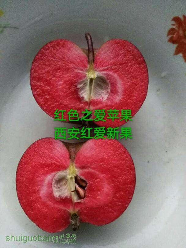 202643ghte86u3me6vzz3m.jpg